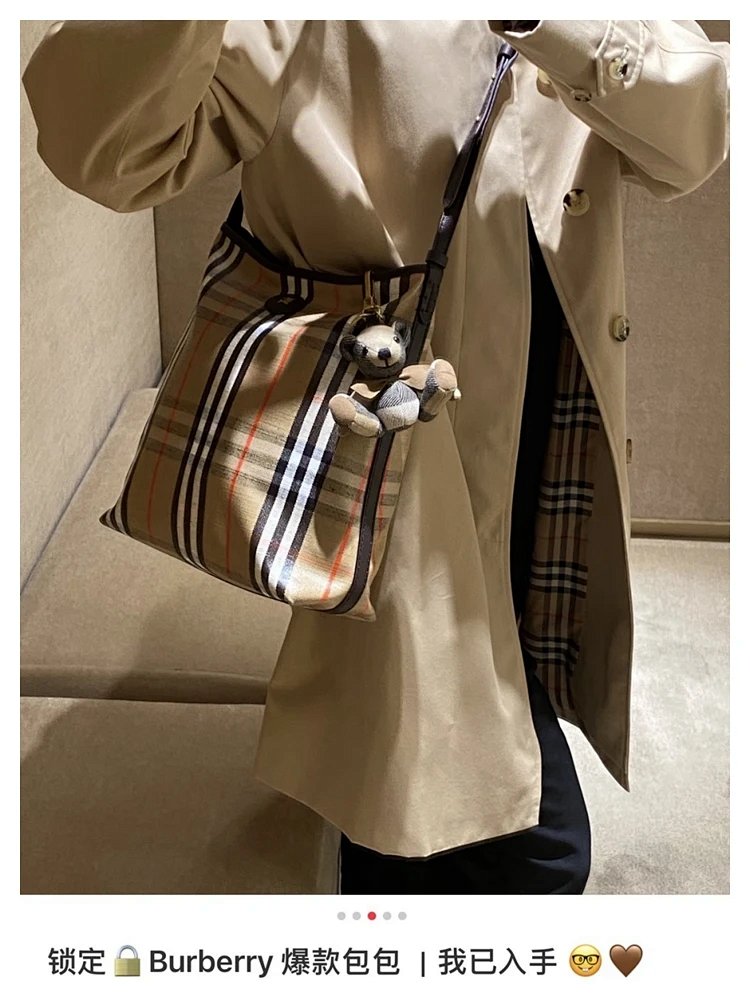 Burberry  Classic British plaid crossbody bag | Litbuuy Spreadsheet